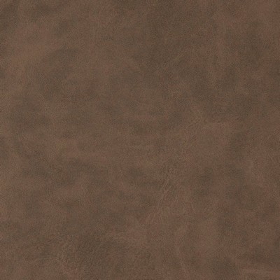 Charlotte Fabrics V631 Raw Umber