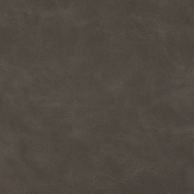 Charlotte Fabrics V632 Char Brown