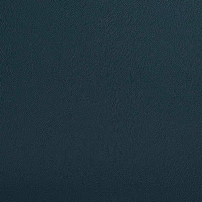 Charlotte Fabrics V640 Indigo