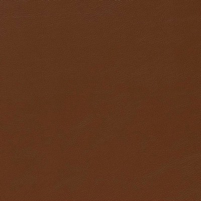 Charlotte Fabrics V645 Canyon