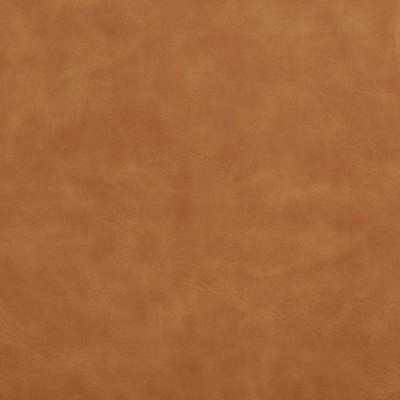 Charlotte Fabrics V648 Buckskin