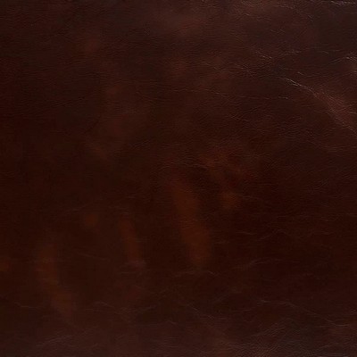 Charlotte Fabrics V656 Hickory