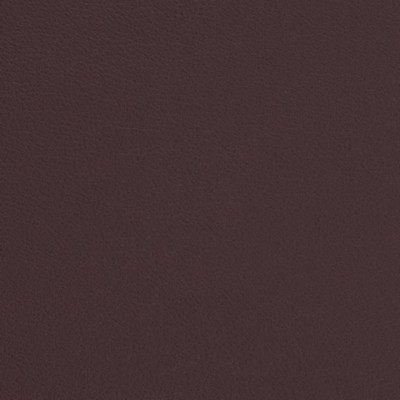 Charlotte Fabrics V673 Eggplant