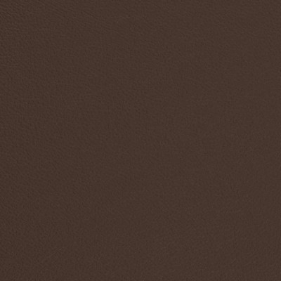 Charlotte Fabrics V677 Earth