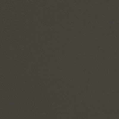 Charlotte Fabrics V681 Iron