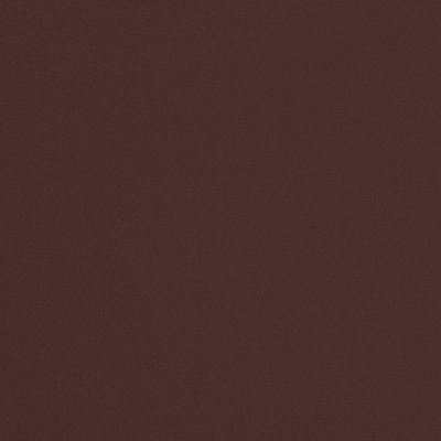 Charlotte Fabrics V684 Merlot
