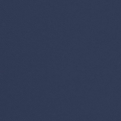 Charlotte Fabrics V687 Admiral