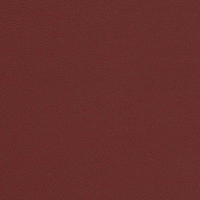 Charlotte Fabrics V690 Currant
