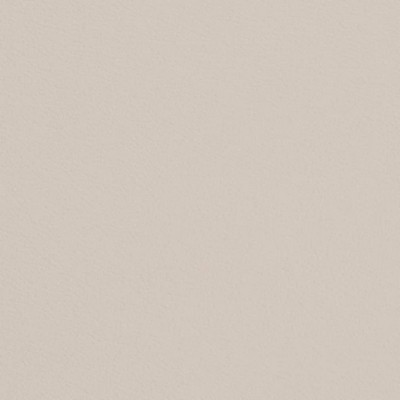 Charlotte Fabrics V691 Pearl