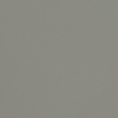 Charlotte Fabrics V694 Dolphin