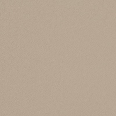 Charlotte Fabrics V698 Dove