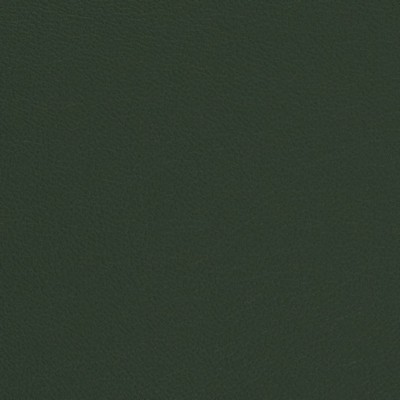 Charlotte Fabrics V699 Evergreen