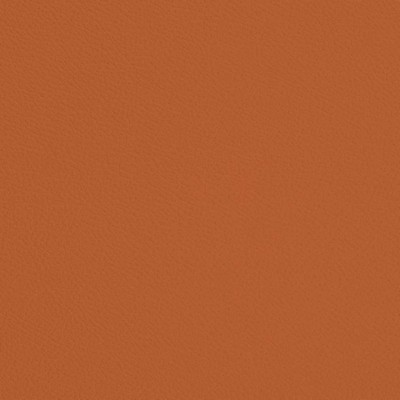 Charlotte Fabrics V700 Marmalade