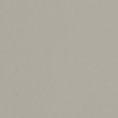 Charlotte Fabrics V704 Honeydew