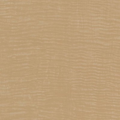 Charlotte Fabrics V725 Champagne