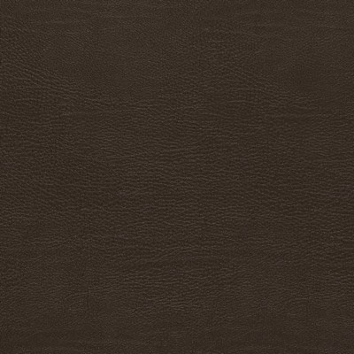 Charlotte Fabrics V730 Chocolate