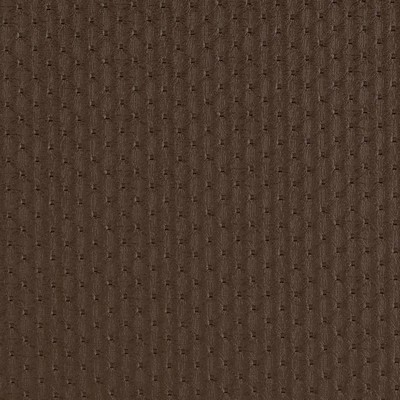Charlotte Fabrics V758 Cocoa