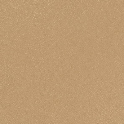 Charlotte Fabrics V770 Flaxen
