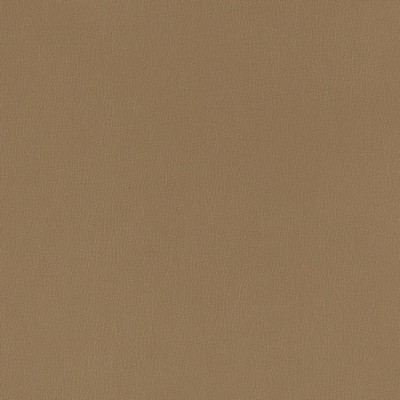 Charlotte Fabrics V782 Hazelnut