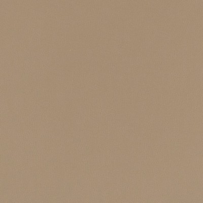 Charlotte Fabrics V784 Pewter