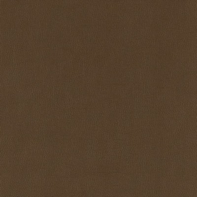 Charlotte Fabrics V785 Java