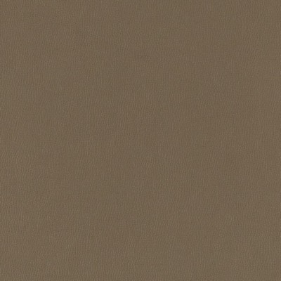 Charlotte Fabrics V786 Iron