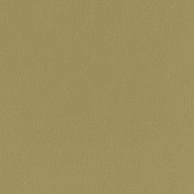 Charlotte Fabrics V790 Moss