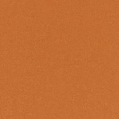 Charlotte Fabrics V792 Marmalade