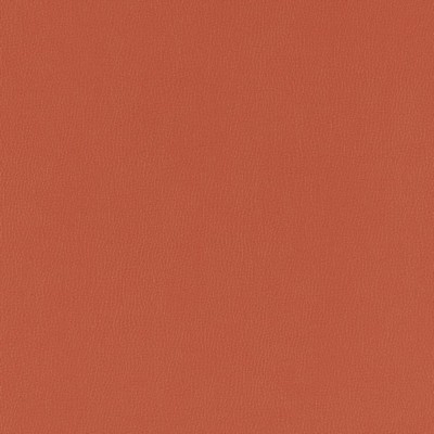 Charlotte Fabrics V793 Chili