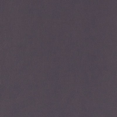 Charlotte Fabrics V804 Violet