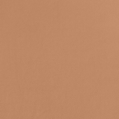 Charlotte Fabrics V810 Caramel