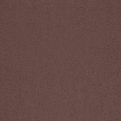 Charlotte Fabrics V815 Chocolate