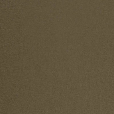 Charlotte Fabrics V817 Army