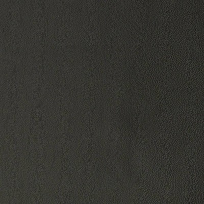 Charlotte Fabrics V818 Ebony