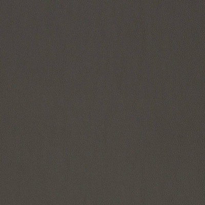 Charlotte Fabrics V819 Shadow