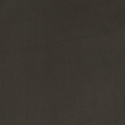 Charlotte Fabrics V822 Midnight