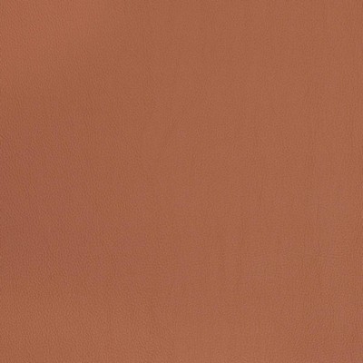 Charlotte Fabrics V823 Clay