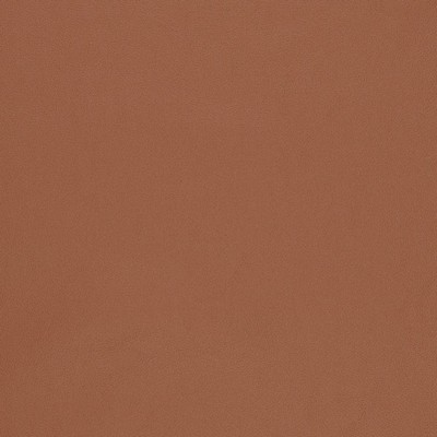 Charlotte Fabrics V824 Adobe