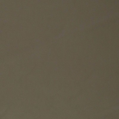 Charlotte Fabrics V826 Olive