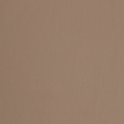 Charlotte Fabrics V827 Cafe