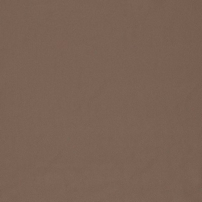 Charlotte Fabrics V828 Cedar