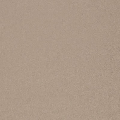 Charlotte Fabrics V829 Dune