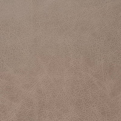 Charlotte Fabrics V858 Latte