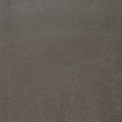 Charlotte Fabrics V859 Steel