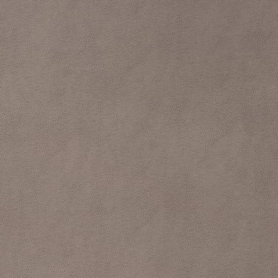 Charlotte Fabrics V864 Slate