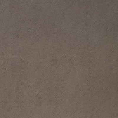Charlotte Fabrics V865 Pewter