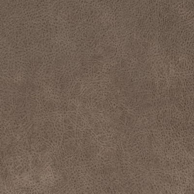 Charlotte Fabrics V871 Umber