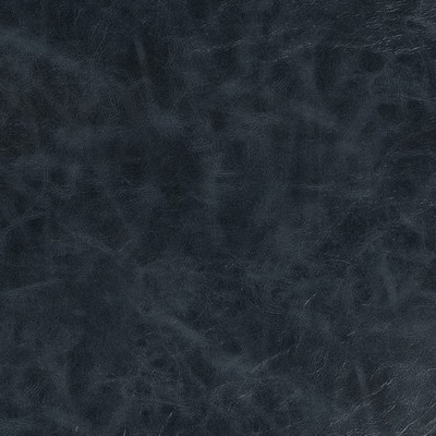 Charlotte Fabrics V913 Ink