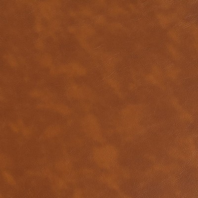 Charlotte Fabrics V917 Chestnut