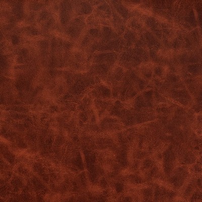 Charlotte Fabrics V919 Brandy